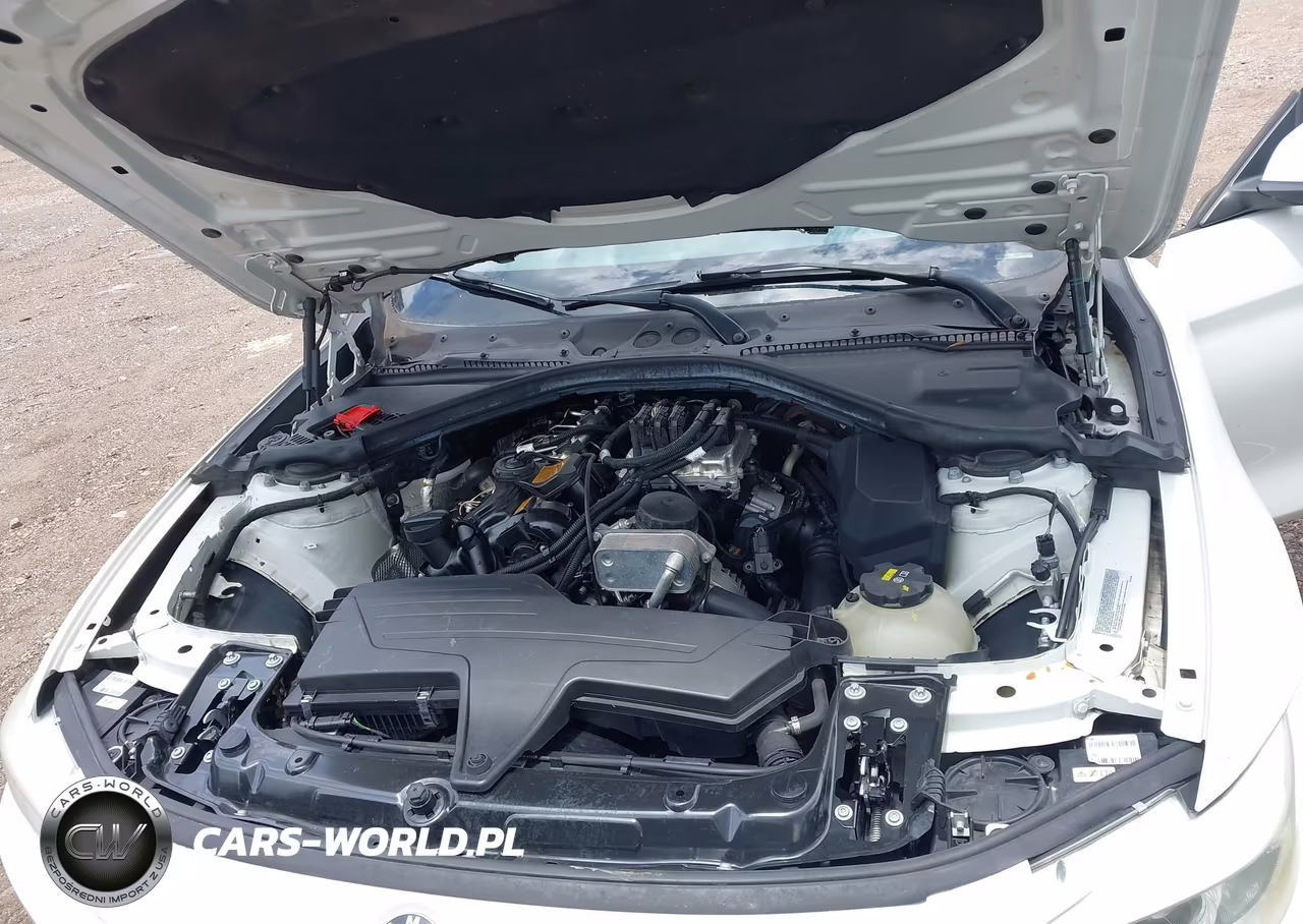 2015 BMW 428 Gran Coupe VIN:WBA4A9C54FGL86817 - 10