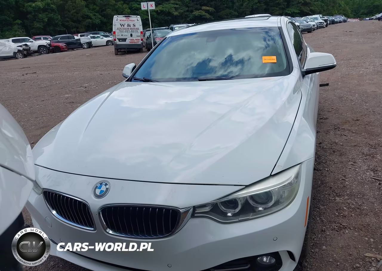 2015 BMW 428 Gran Coupe VIN:WBA4A9C54FGL86817 - 12