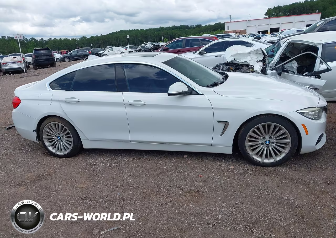 2015 BMW 428 Gran Coupe VIN:WBA4A9C54FGL86817 - 13