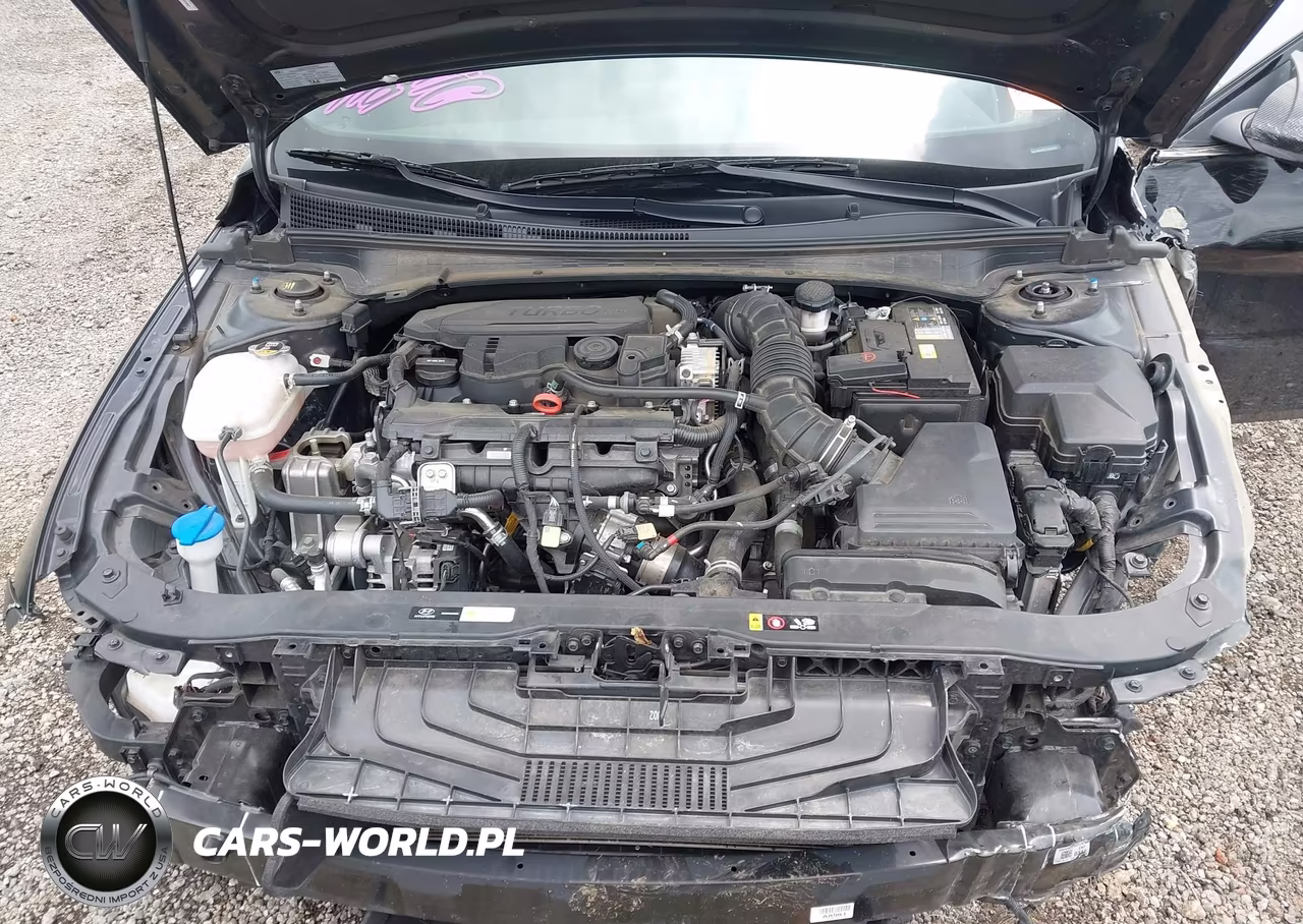 2025 Hyundai Elantra N Line VIN:KMHLR4DF7SU929683 - 10