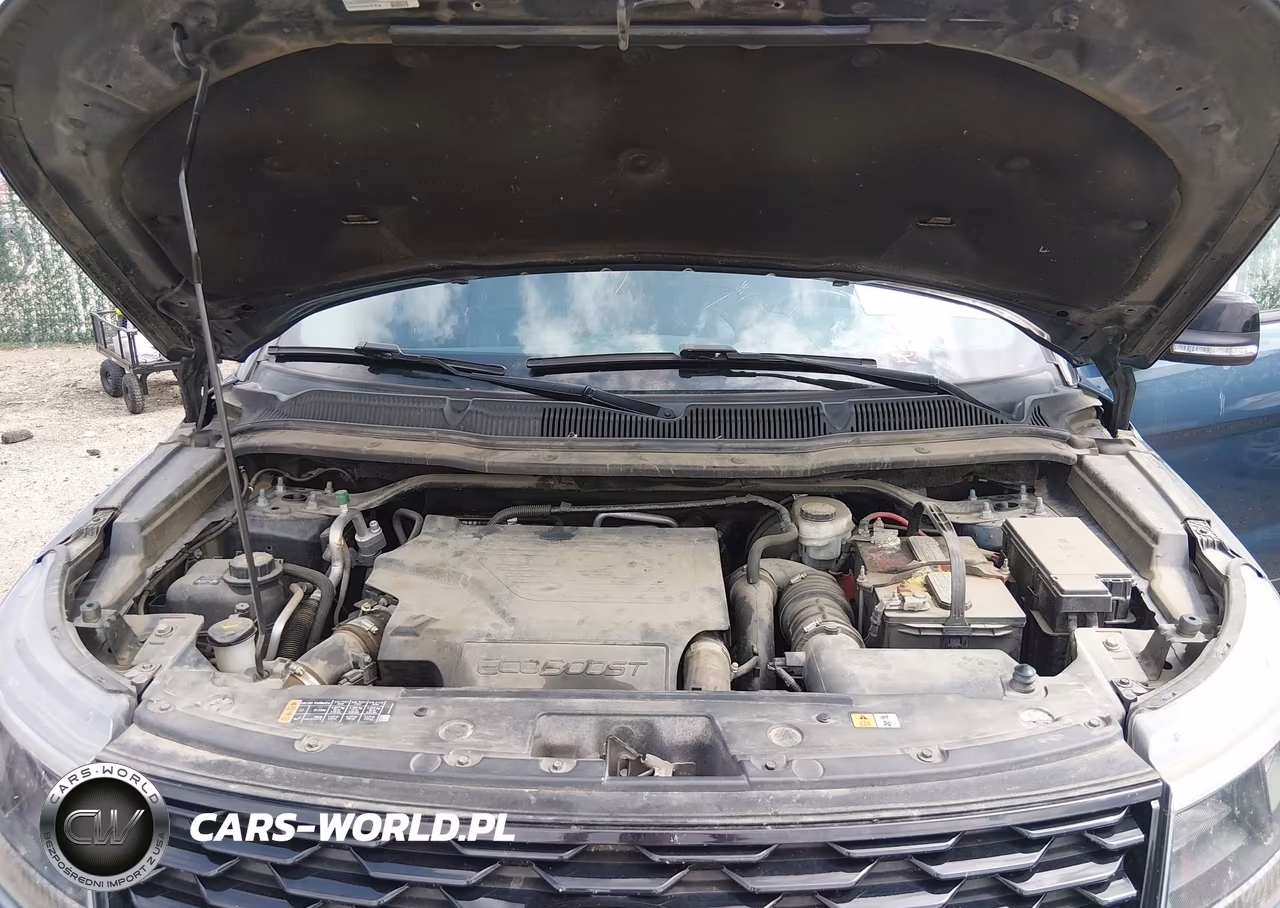 2019 Ford Explorer Sport VIN:1FM5K8GT3KGB52696 - 10