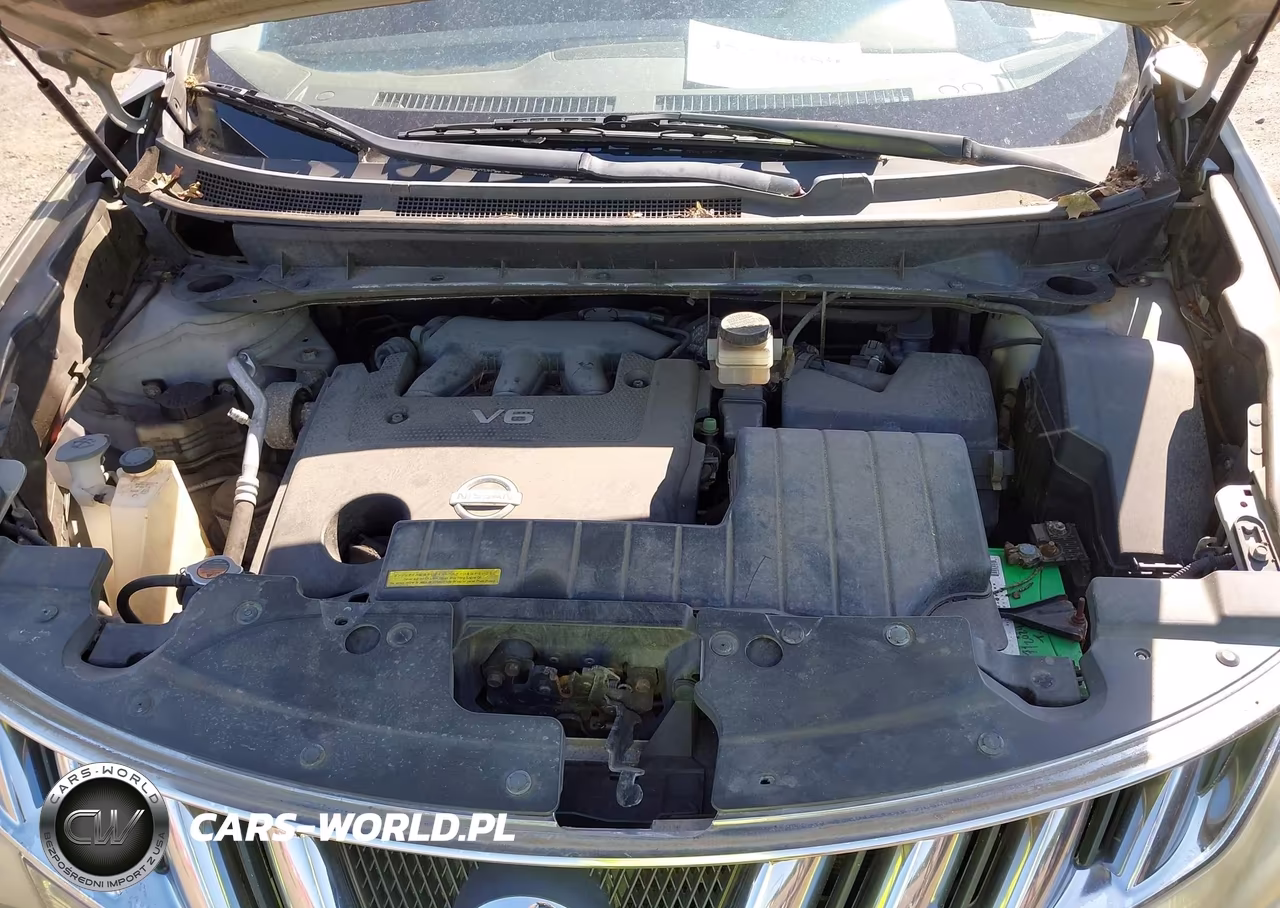 2010 Nissan Murano Sl VIN:JN8AZ1MW3AW111854 - 10