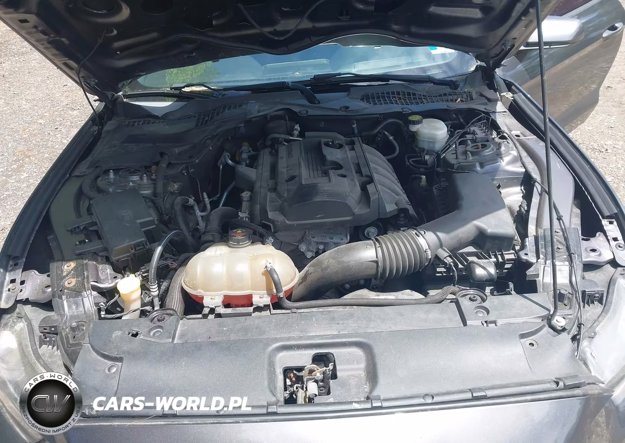 2016 Ford Mustang Ecoboost VIN:1FA6P8TH0G5214818 - 10