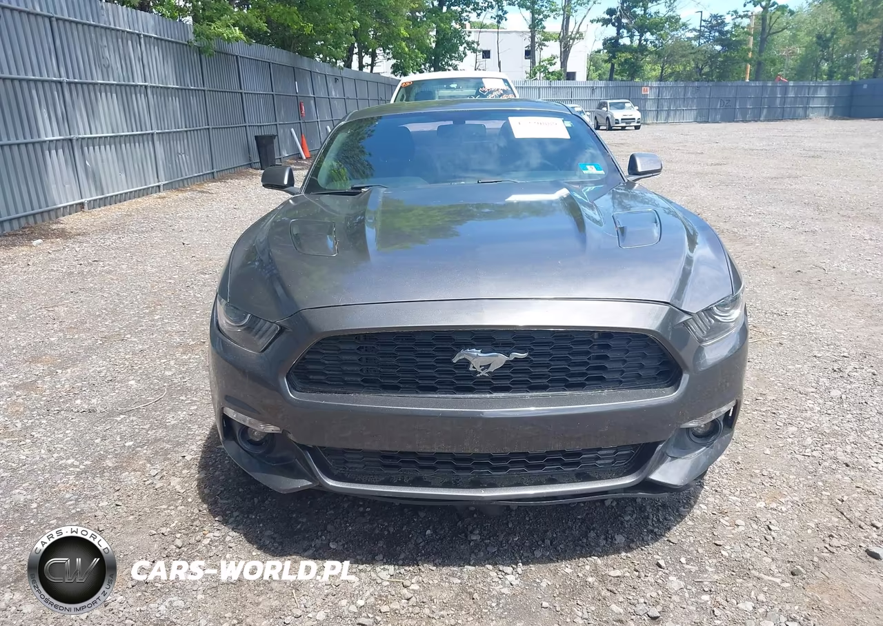 2016 Ford Mustang Ecoboost VIN:1FA6P8TH0G5214818 - 12