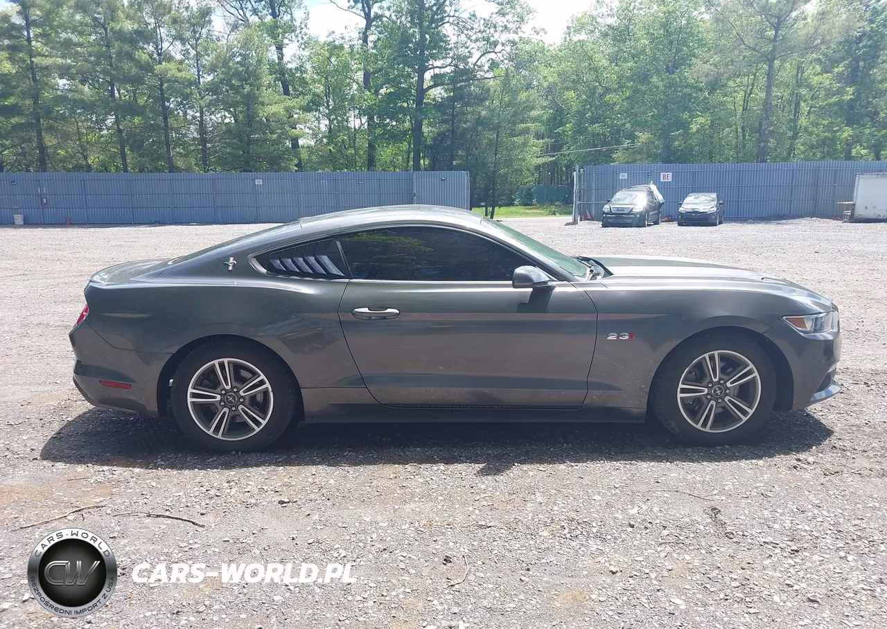 2016 Ford Mustang Ecoboost VIN:1FA6P8TH0G5214818 - 13