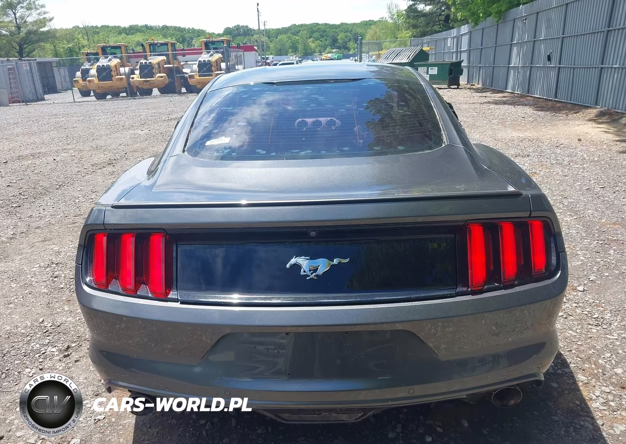 2016 Ford Mustang Ecoboost VIN:1FA6P8TH0G5214818 - 16