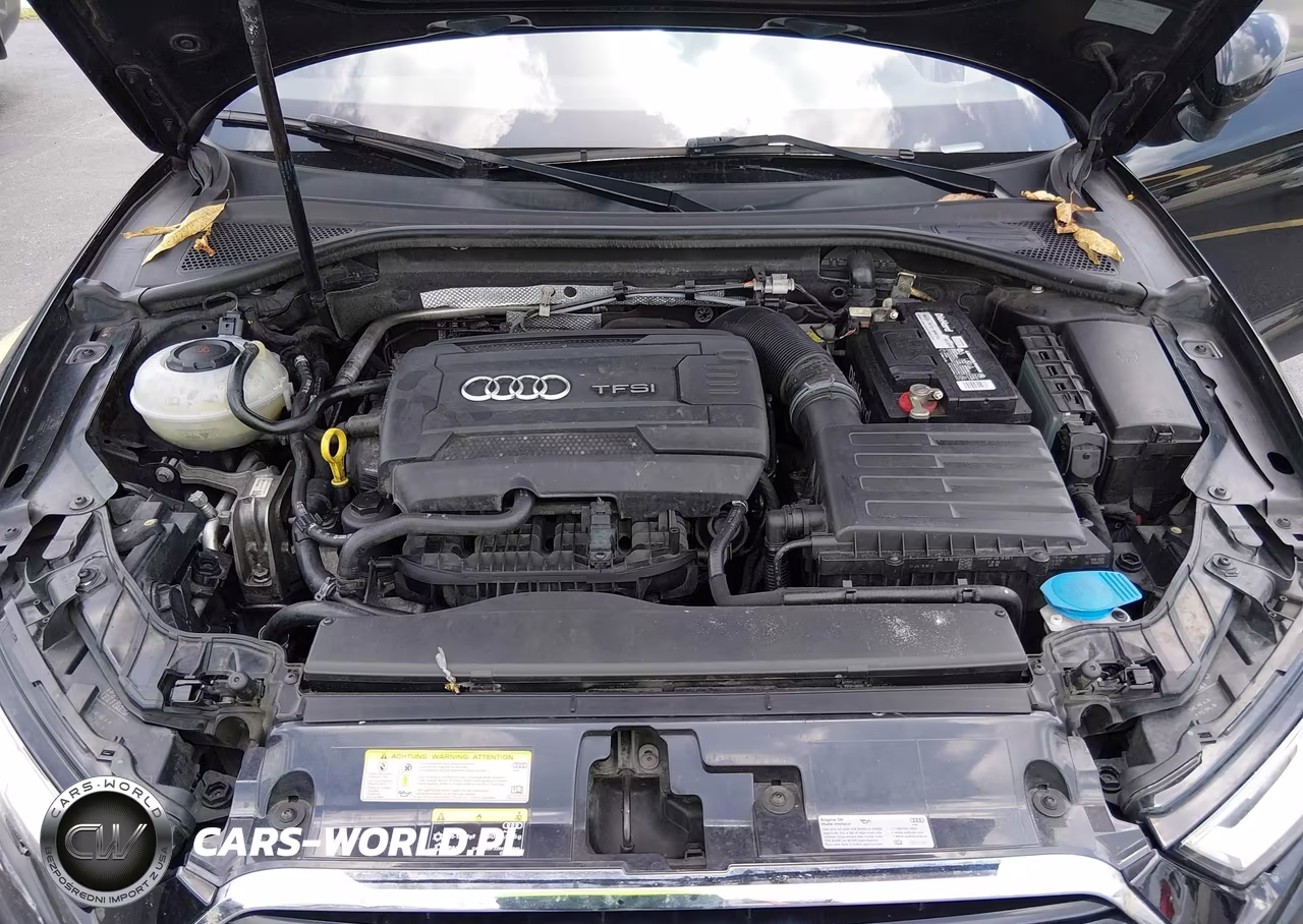 2018 Audi A3 2.0T Premium-2.0T Tech Premium VIN:WAUB8GFFXJ1003924 - 10