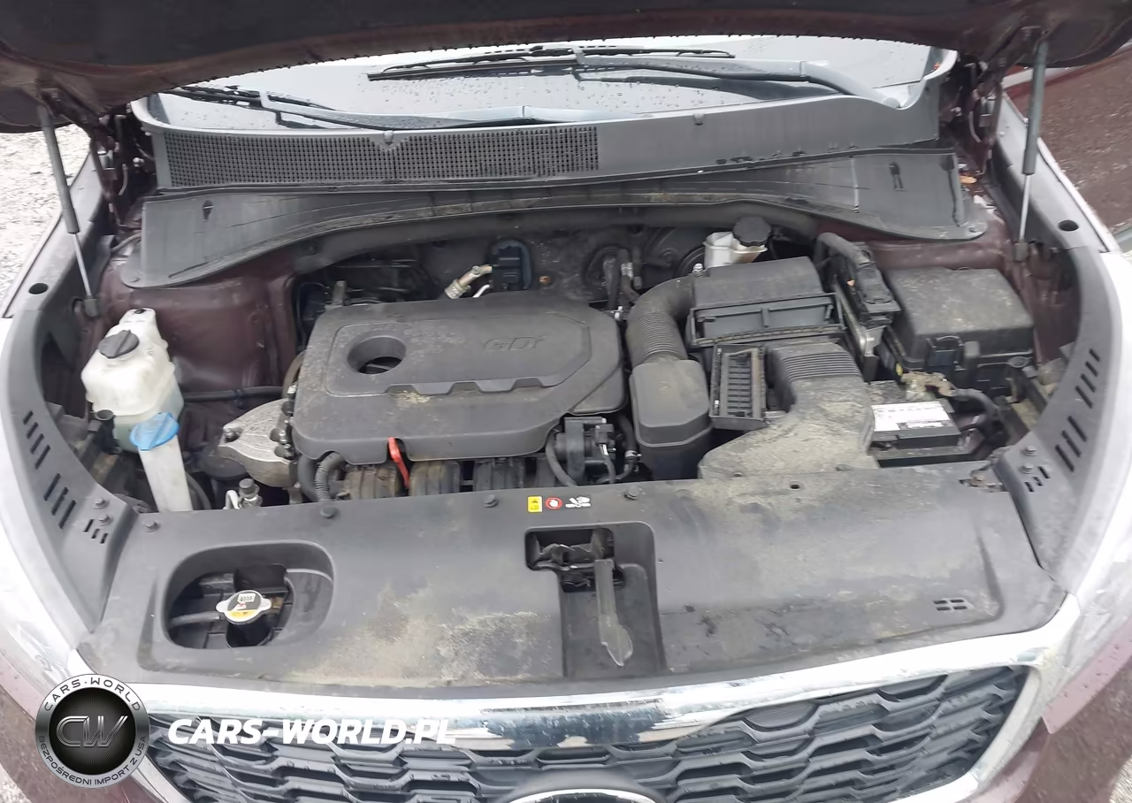 2019 Kia Sorento 2.4L Lx VIN:5XYPG4A32KG537895 - 10