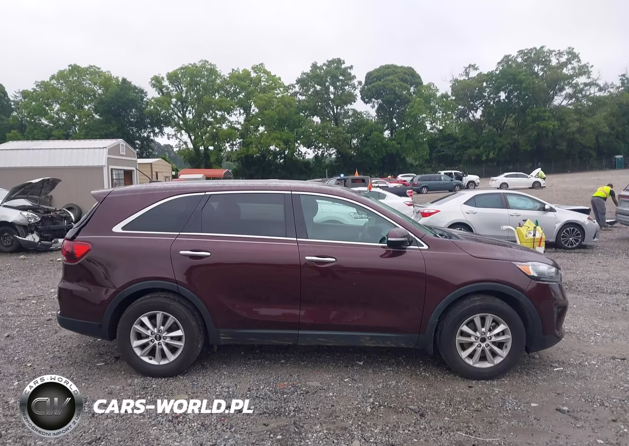 2019 Kia Sorento 2.4L Lx VIN:5XYPG4A32KG537895 - 13