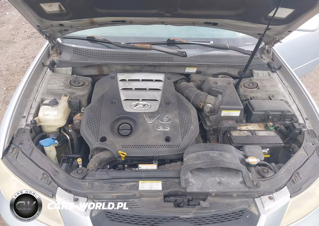 2006 Hyundai Sonata Gls V6-Lx V6 VIN:5NPEU46F66H079389 - 10