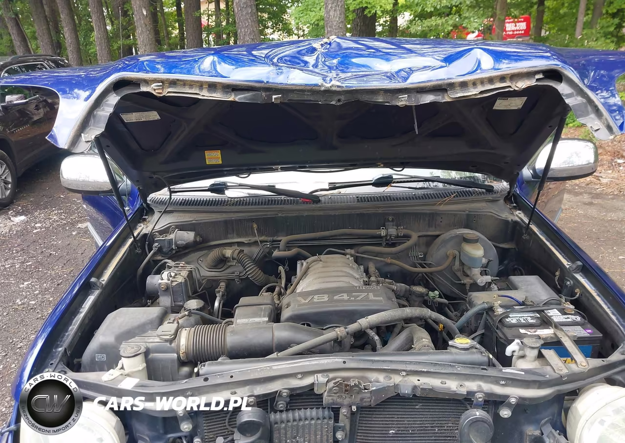 2003 Toyota Tundra Sr5 V8 VIN:5TBRT34153S437361 - 10