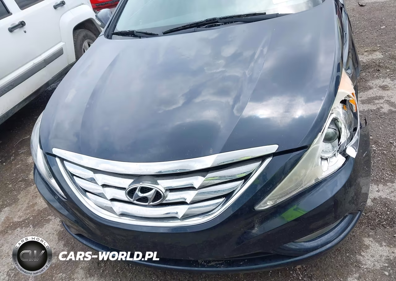 2013 Hyundai Sonata Limited 2.0T VIN:5NPEC4AB1DH676194 - 12