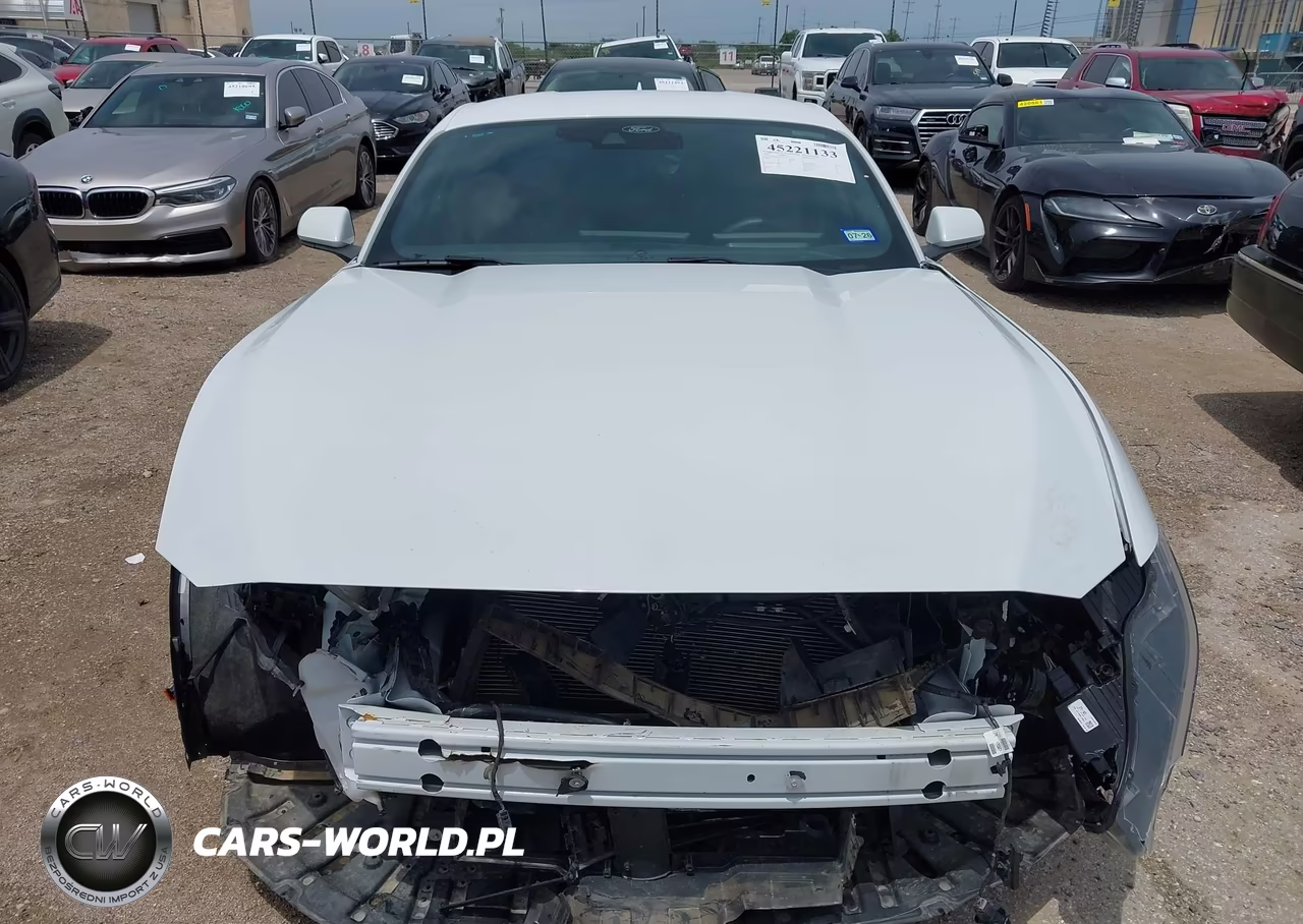 2025 Ford Mustang Ecoboost Fastback VIN:1FA6P8TH6S5124291 - 13