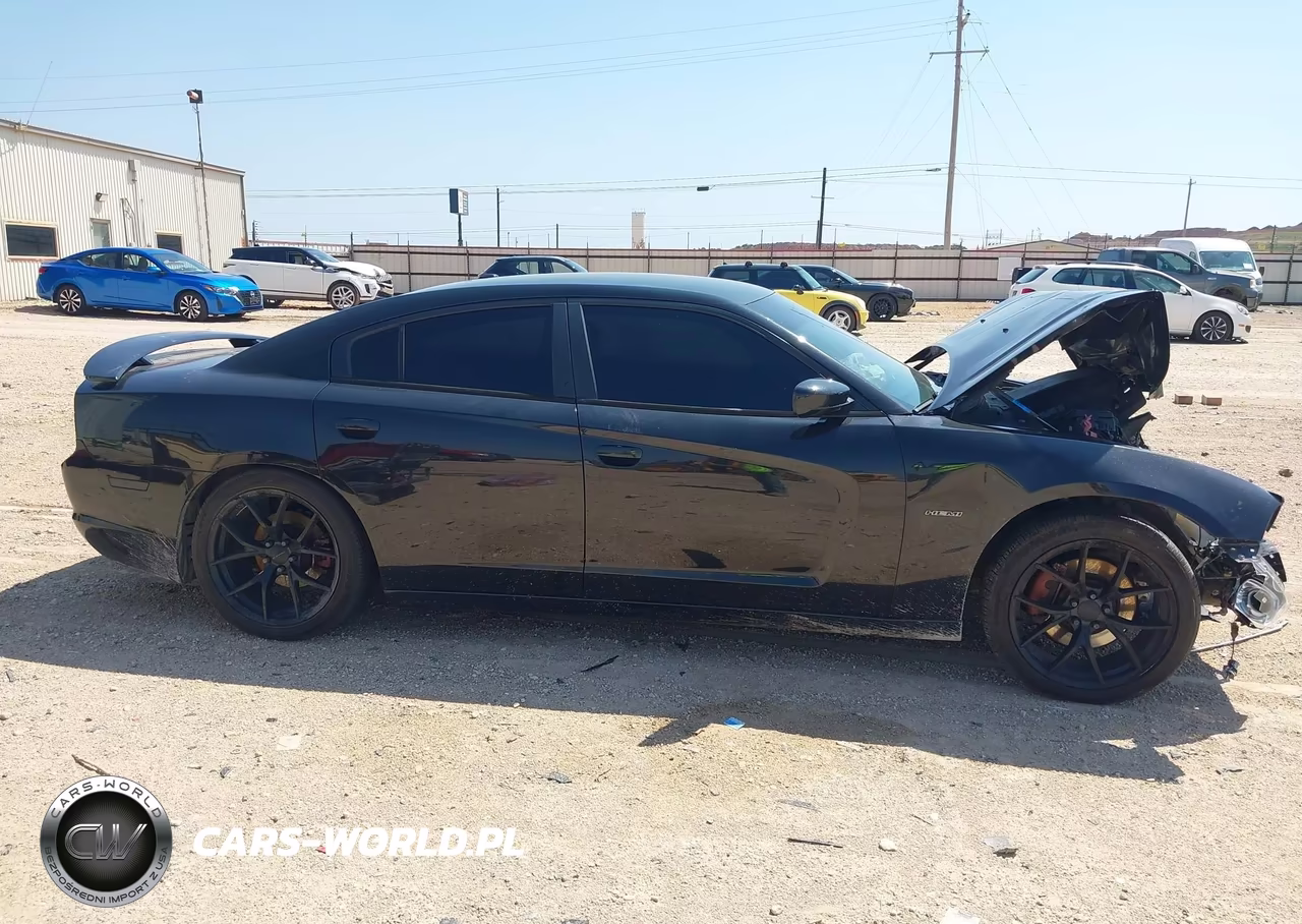 2014 Dodge Charger R-T Max VIN:2C3CDXCT6EH163985 - 14