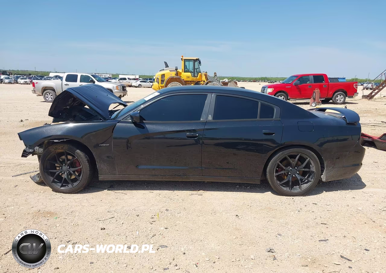 2014 Dodge Charger R-T Max VIN:2C3CDXCT6EH163985 - 15