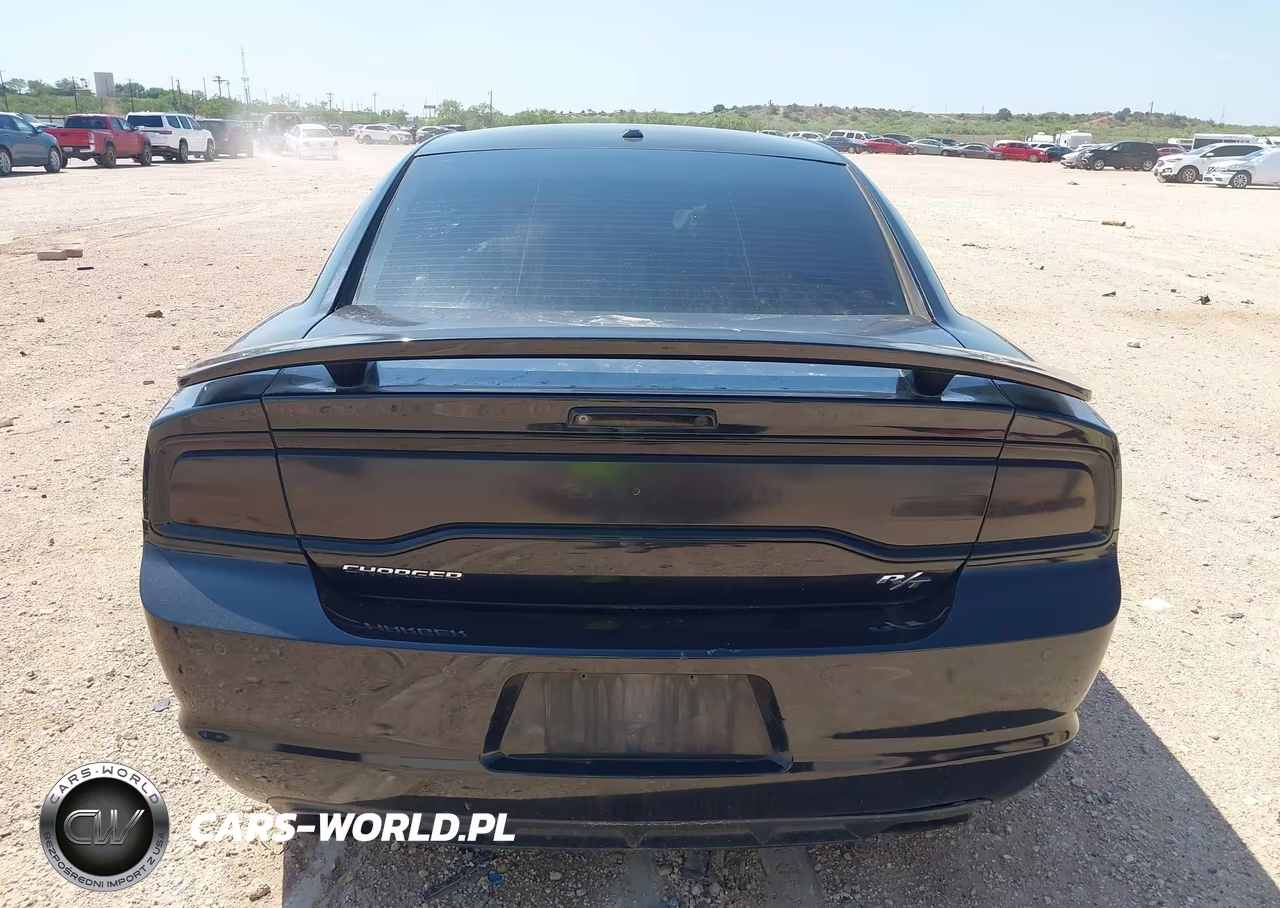2014 Dodge Charger R-T Max VIN:2C3CDXCT6EH163985 - 17