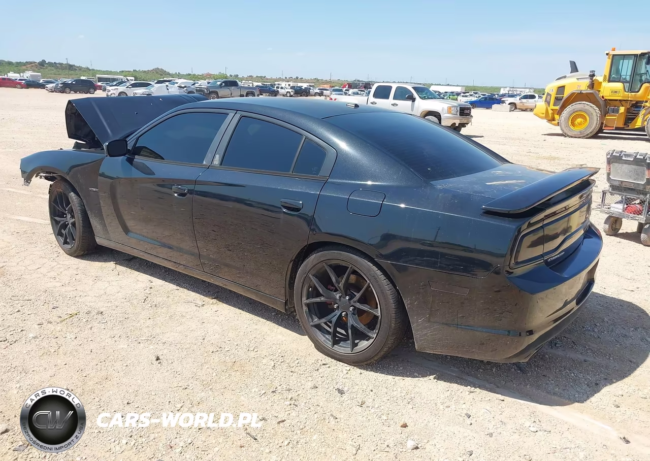 2014 Dodge Charger R-T Max VIN:2C3CDXCT6EH163985 - 3