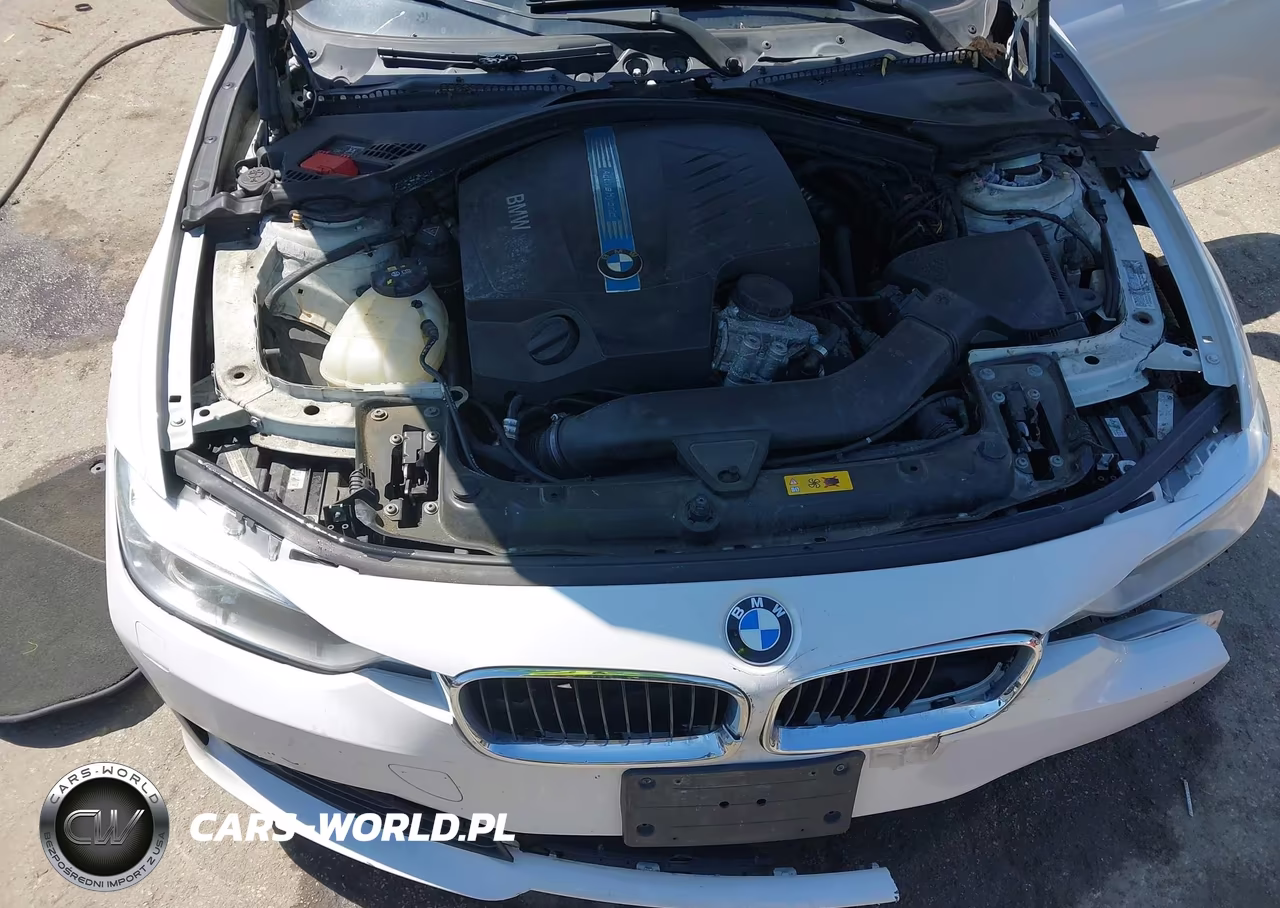 2013 BMW Activehybrid 3 VIN:WBA3F9C57DF484210 - 10