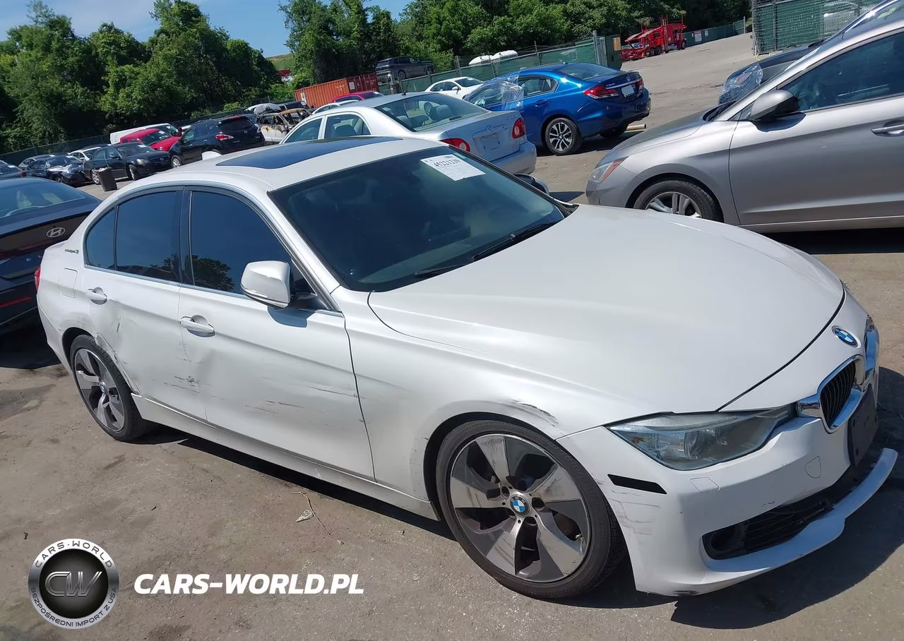 2013 BMW Activehybrid 3 VIN:WBA3F9C57DF484210 - 17