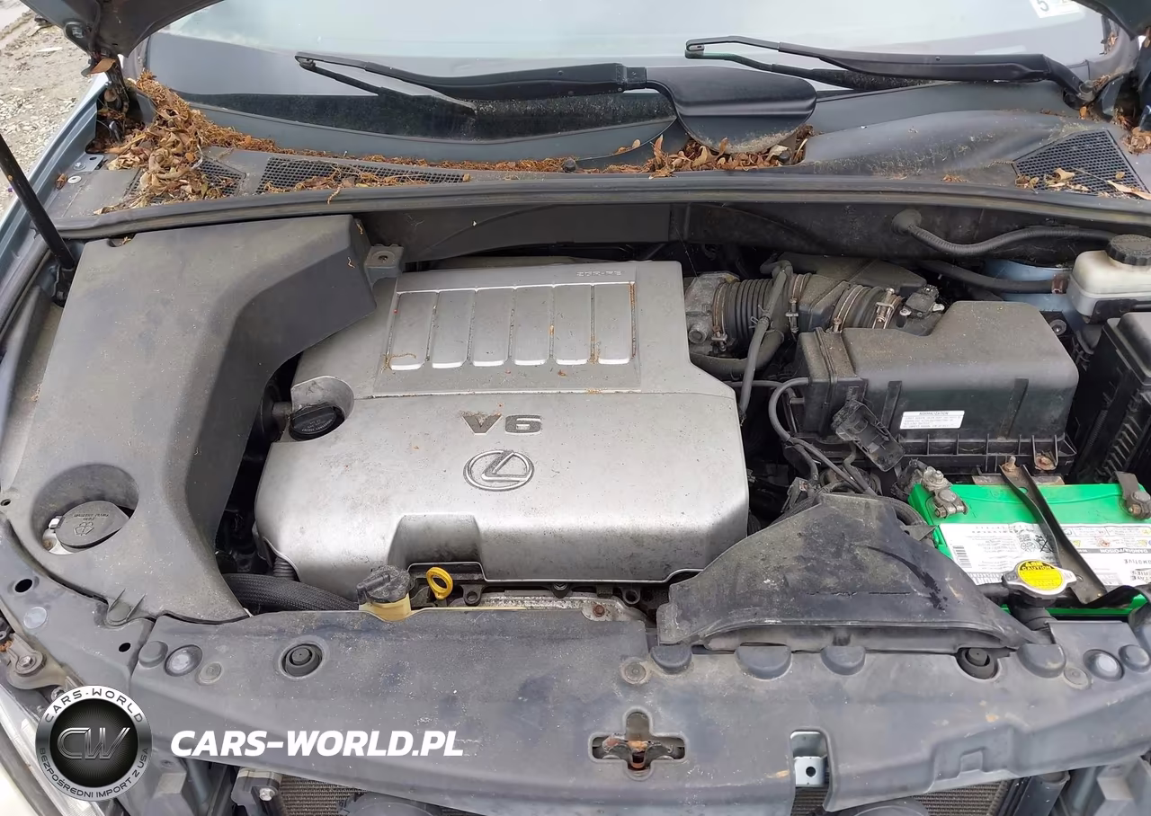 2007 Lexus Rx 350 VIN:2T2HK31U87C017382 - 10