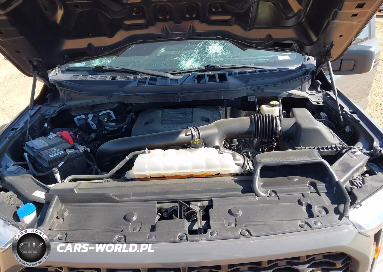 2021 Ford F-150 Xl VIN:1FTFW1E80MKE87093 - 10