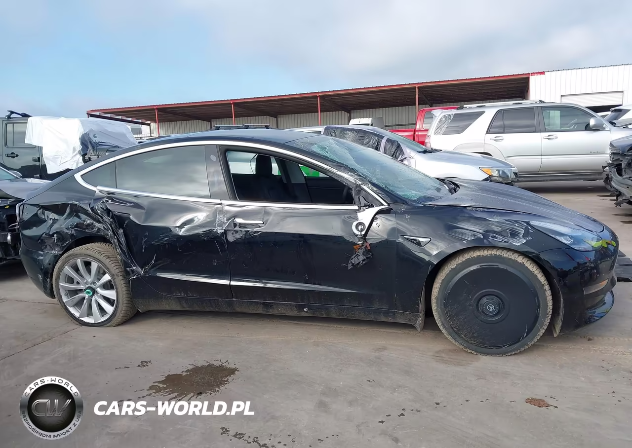 2020 Tesla Model 3 Long Range Dual Motor All-Wheel Drive VIN:5YJ3E1EB8LF666270 - 12