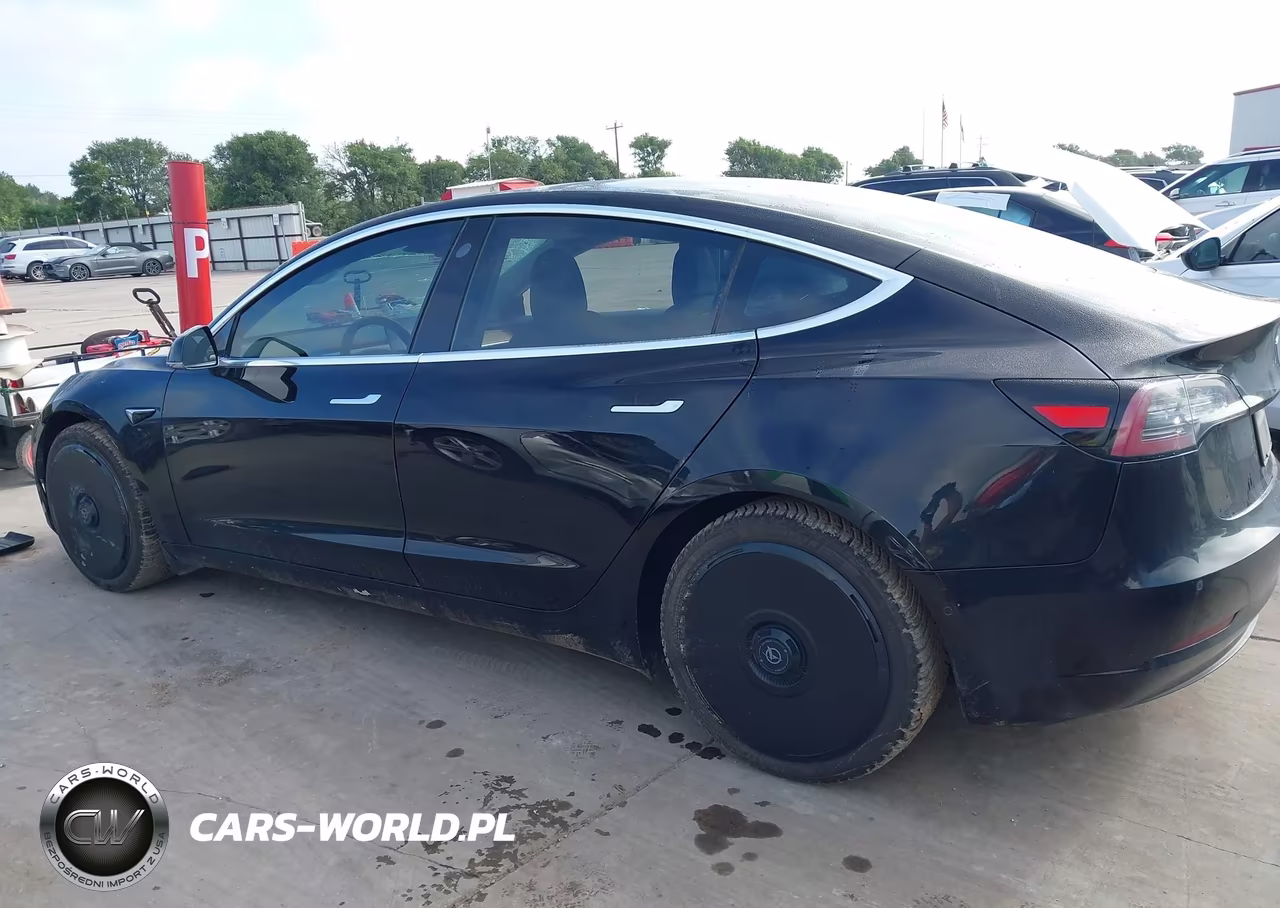 2020 Tesla Model 3 Long Range Dual Motor All-Wheel Drive VIN:5YJ3E1EB8LF666270 - 13