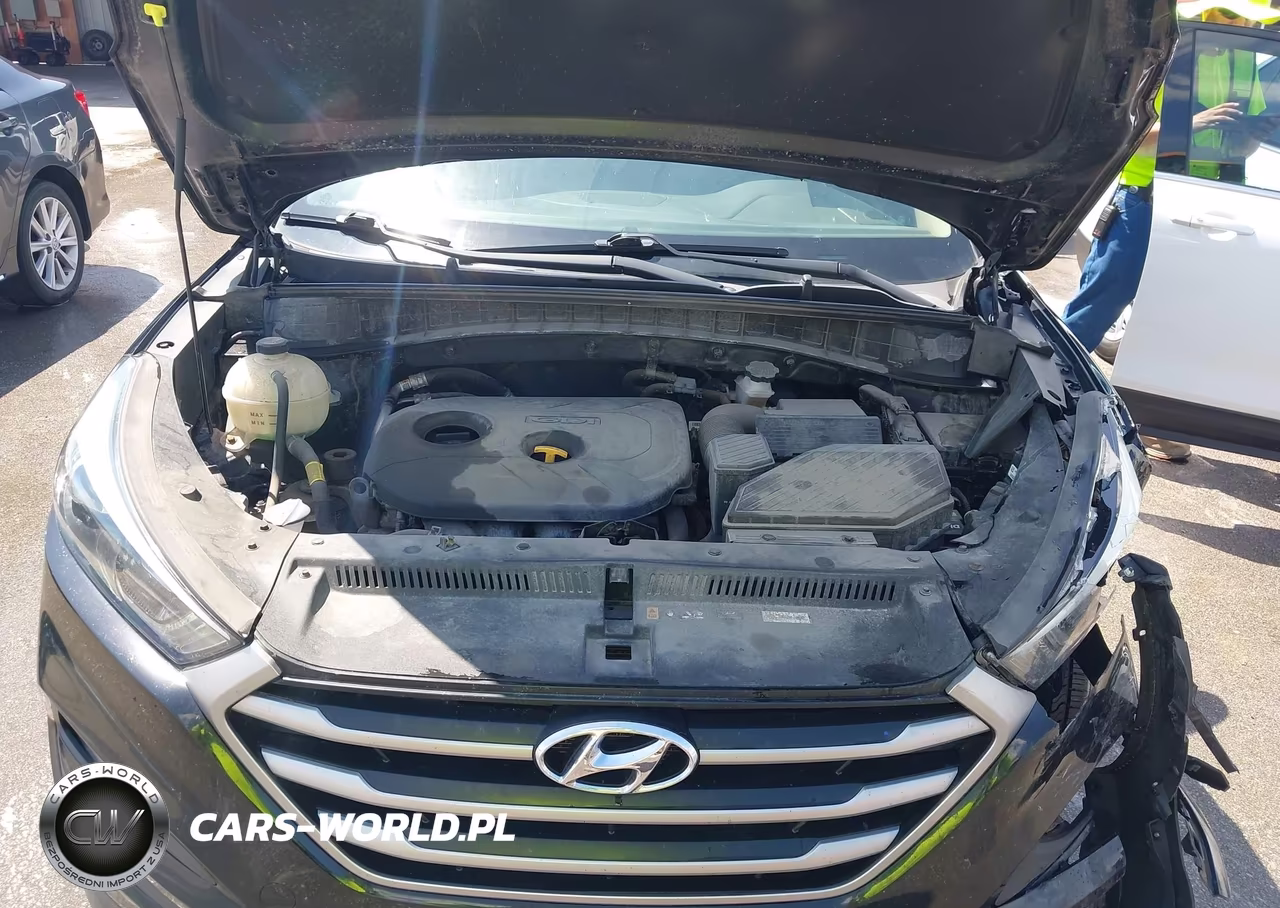 2018 Hyundai Tucson Sel Plus VIN:KM8J3CA45JU709138 - 10