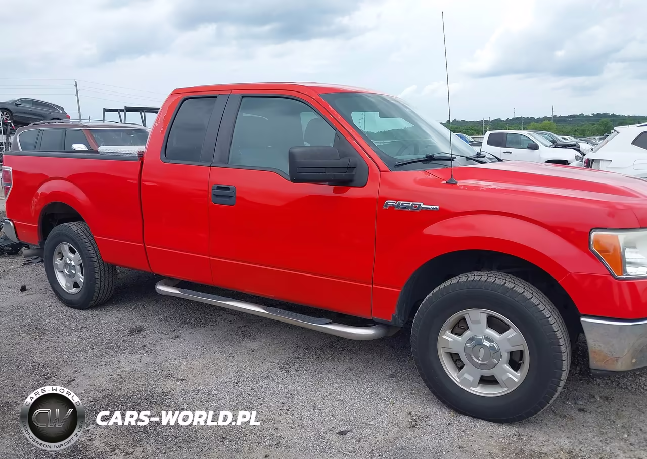 2013 Ford F-150 Xlt VIN:1FTFX1CF0DFB31931 - 13