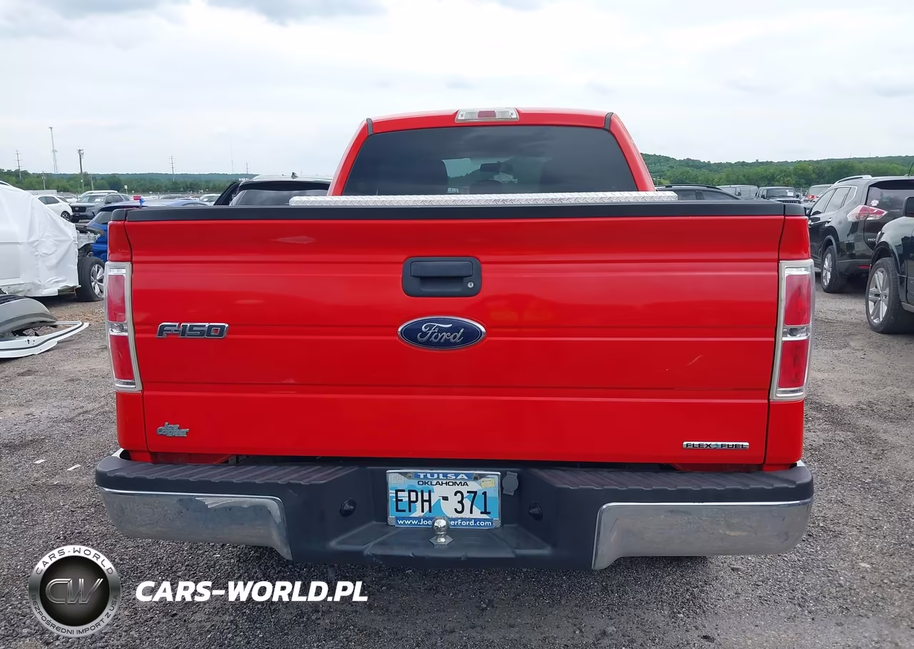 2013 Ford F-150 Xlt VIN:1FTFX1CF0DFB31931 - 16