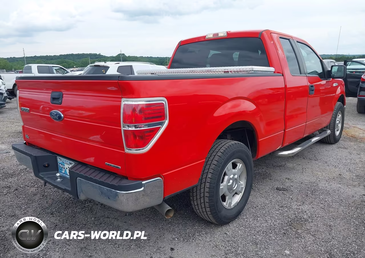 2013 Ford F-150 Xlt VIN:1FTFX1CF0DFB31931 - 4