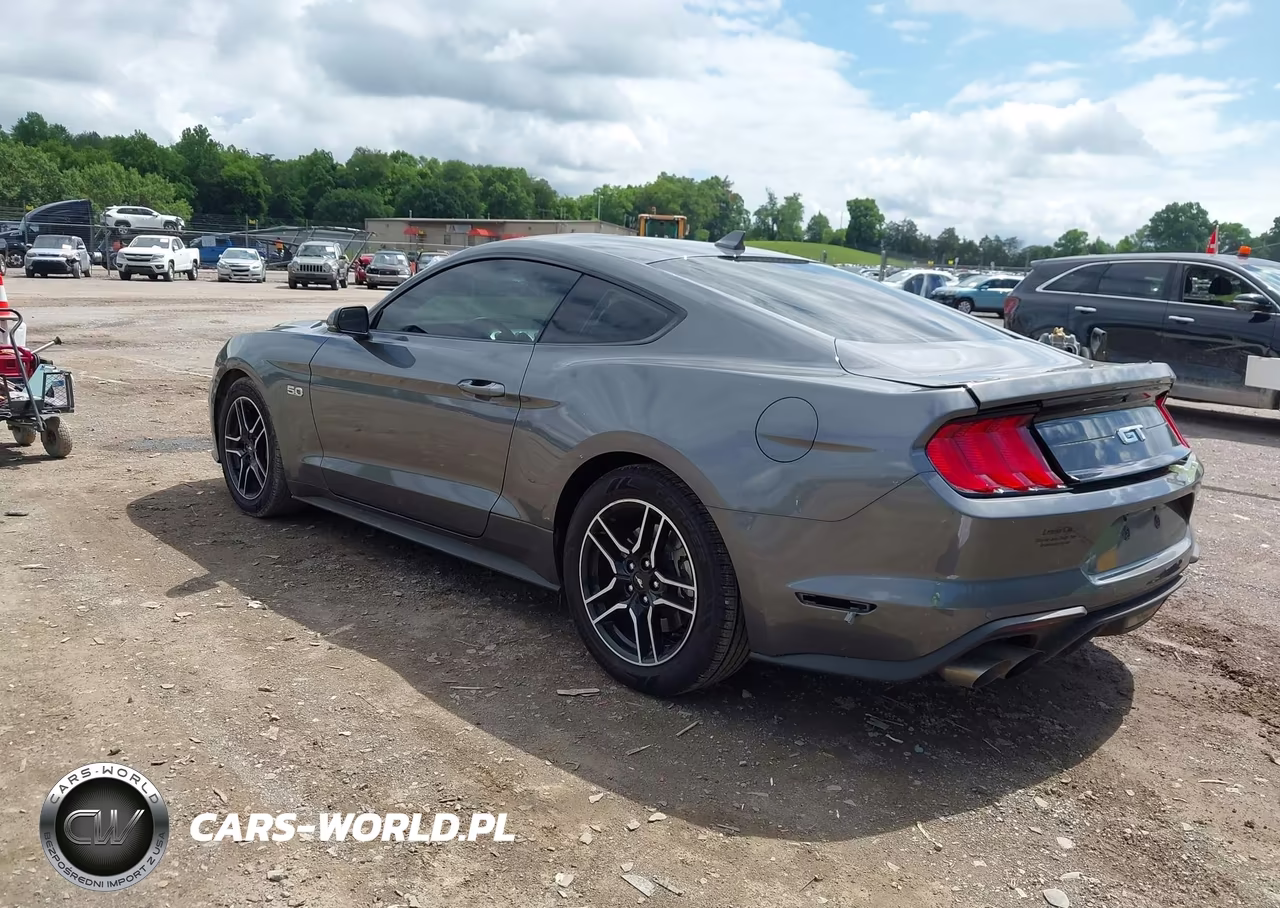 2022 Ford Mustang Gt Premium Fastback VIN:1FA6P8CF7N5146836 - 3