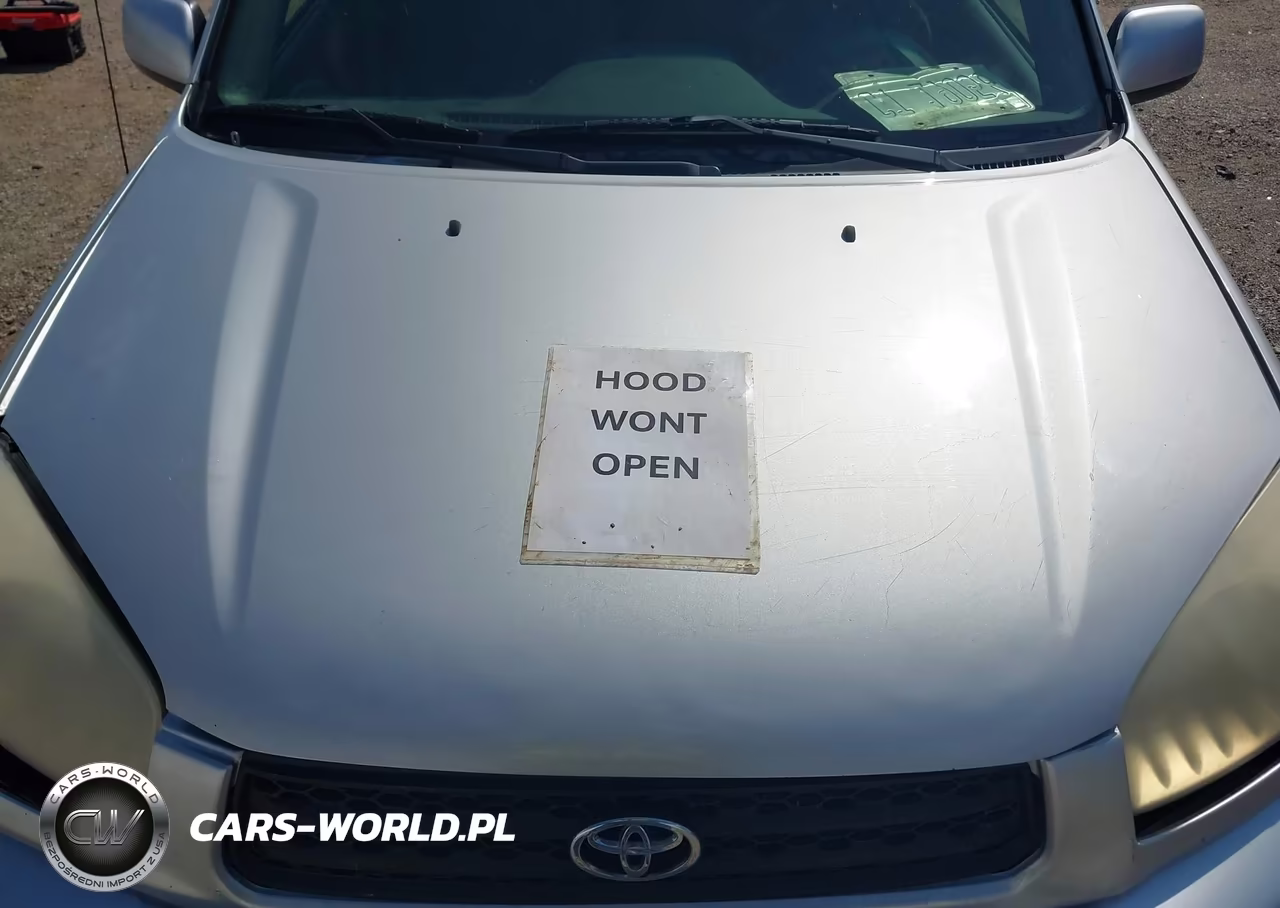 2002 Toyota Rav4 VIN:JTEGH20V420044077 - 10