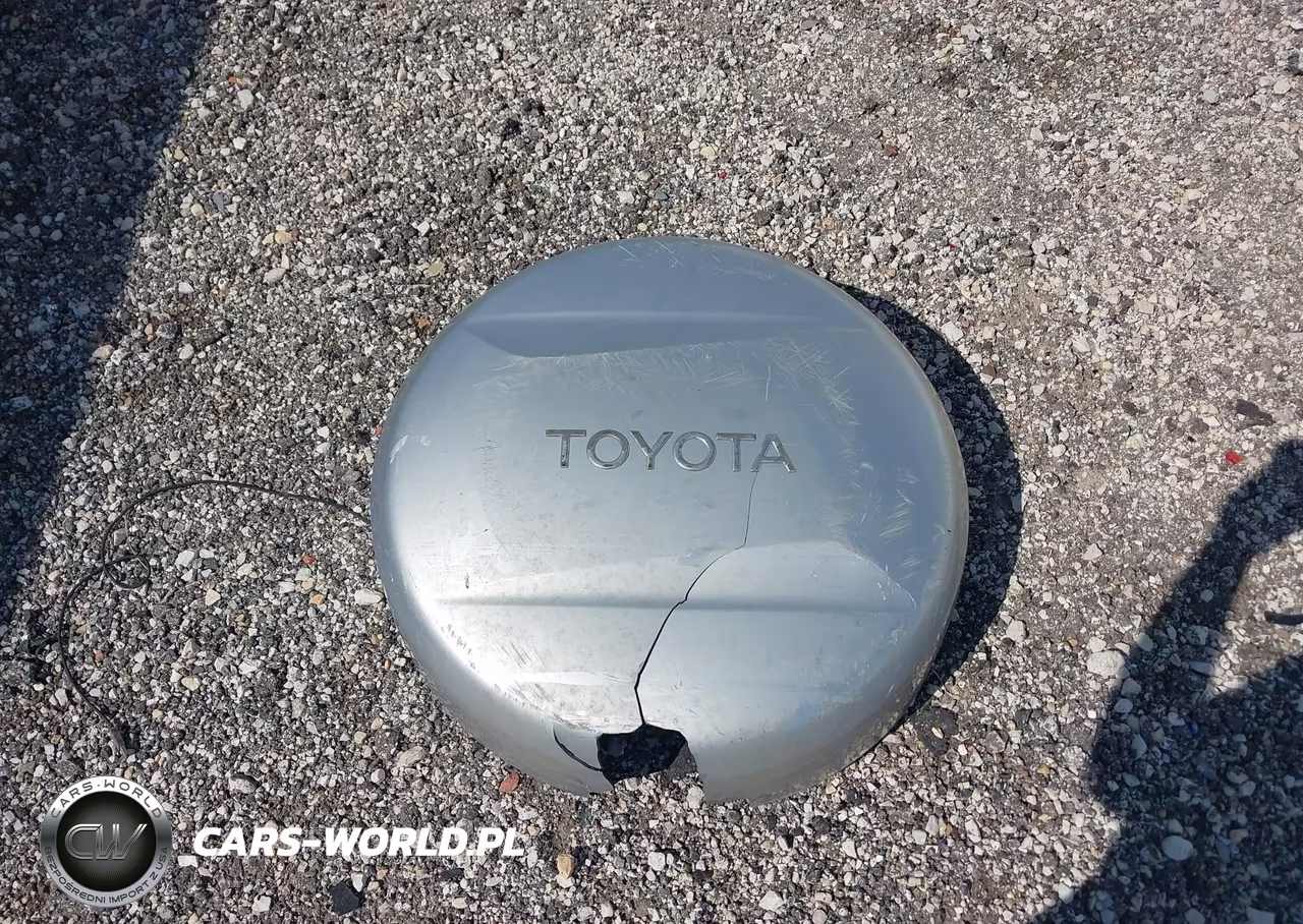 2002 Toyota Rav4 VIN:JTEGH20V420044077 - 12