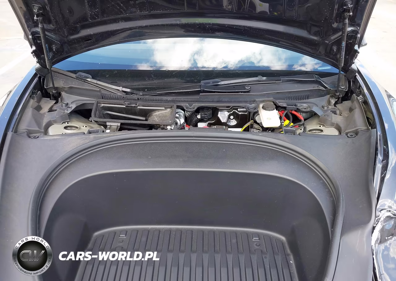 2025 Tesla Model 3 Long Range Rear-Wheel Drive-Standard Rear-Wheel Drive VIN:5YJ3E1EA1SF920925 - 10