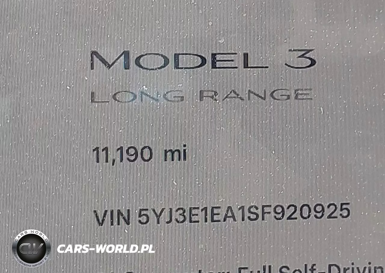 2025 Tesla Model 3 Long Range Rear-Wheel Drive-Standard Rear-Wheel Drive VIN:5YJ3E1EA1SF920925 - 15