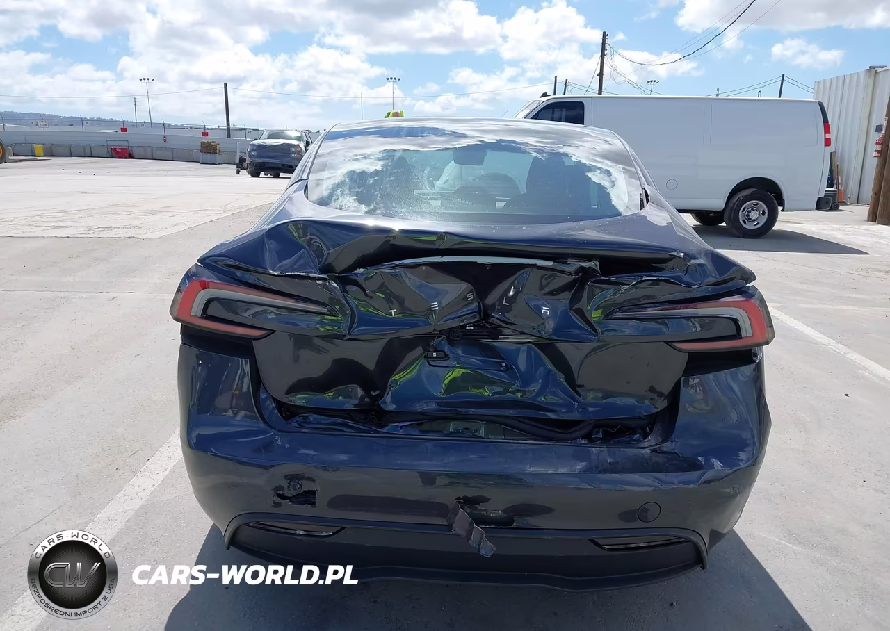 2025 Tesla Model 3 Long Range Rear-Wheel Drive-Standard Rear-Wheel Drive VIN:5YJ3E1EA1SF920925 - 16