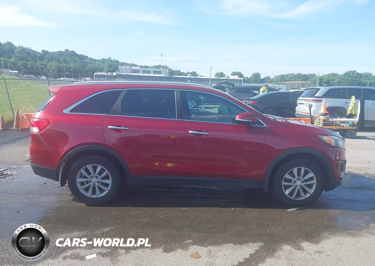 2016 Kia Sorento 3.3L Lx VIN:5XYPG4A53GG157926 - 13