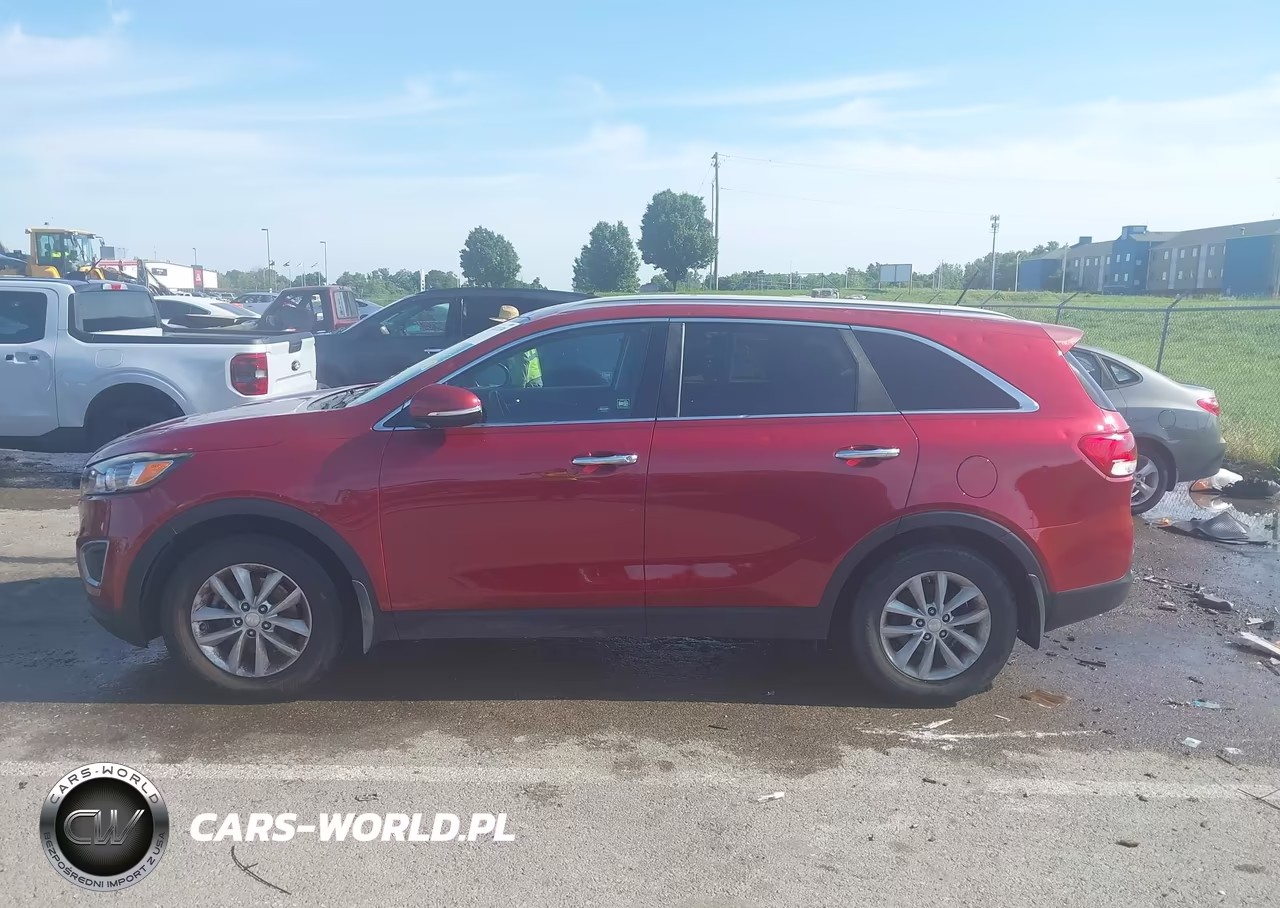 2016 Kia Sorento 3.3L Lx VIN:5XYPG4A53GG157926 - 14