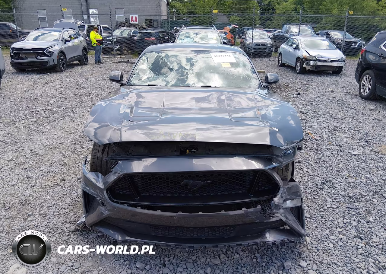 2019 Ford Mustang Gt Premium VIN:1FA6P8CF0K5131056 - 12