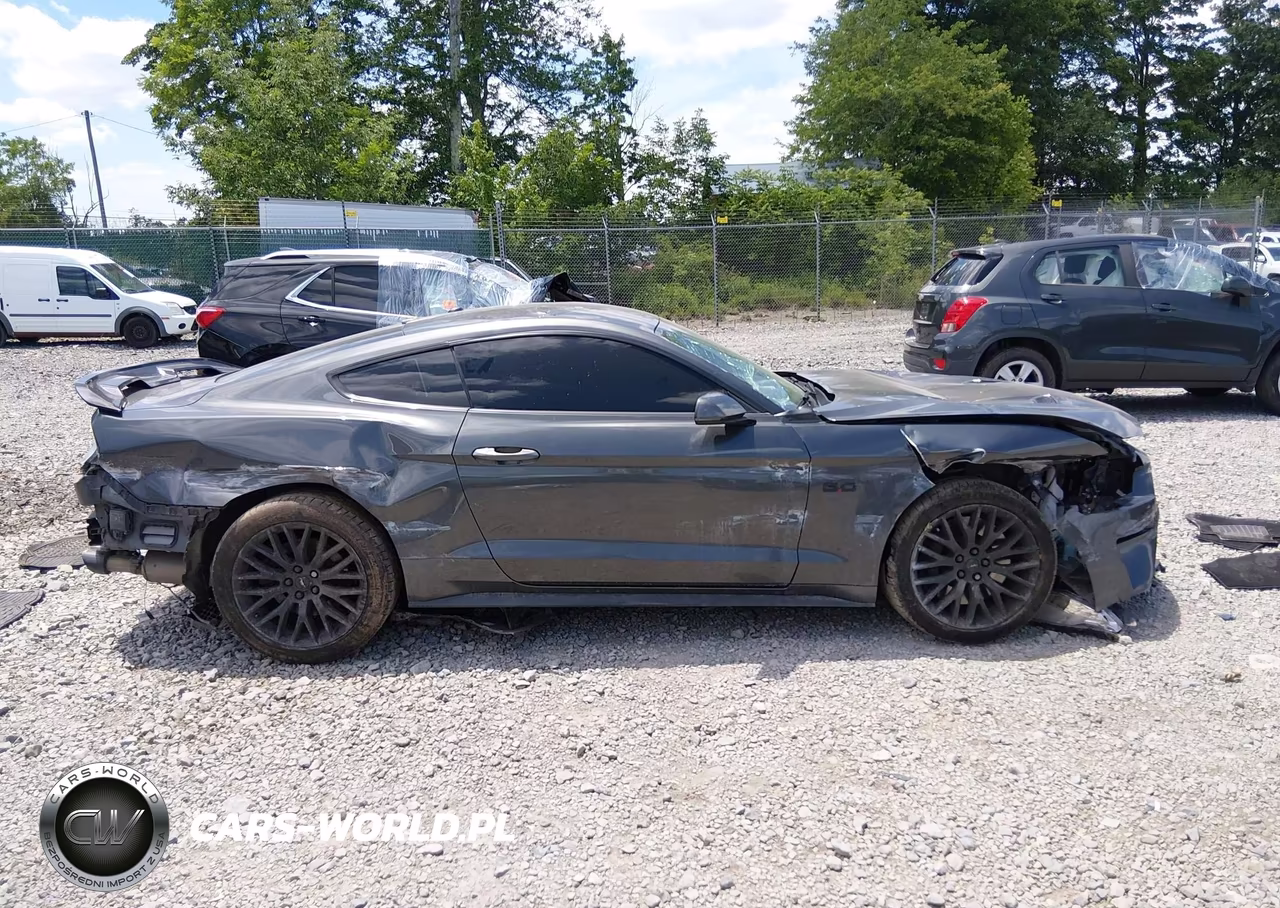 2019 Ford Mustang Gt Premium VIN:1FA6P8CF0K5131056 - 13
