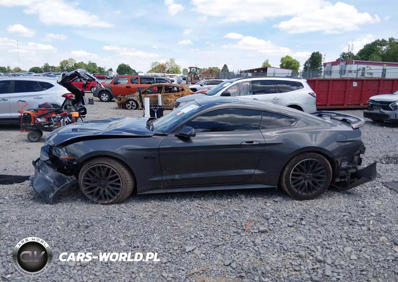 2019 Ford Mustang Gt Premium VIN:1FA6P8CF0K5131056 - 14