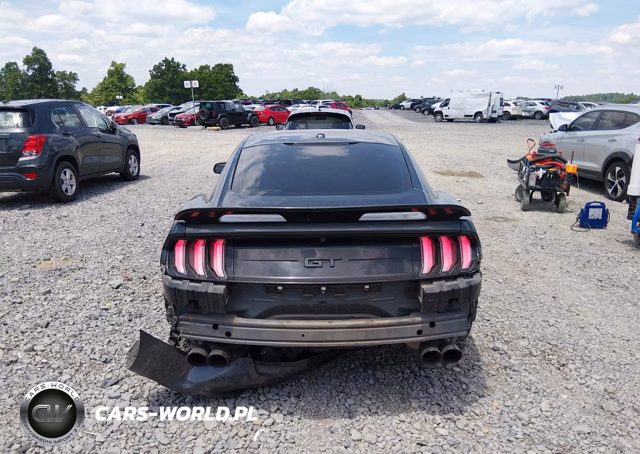 2019 Ford Mustang Gt Premium VIN:1FA6P8CF0K5131056 - 16