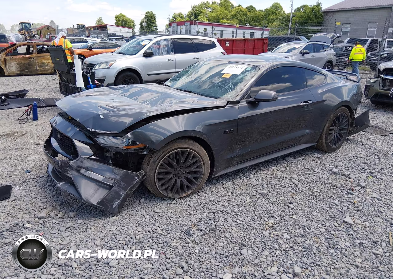 2019 Ford Mustang Gt Premium VIN:1FA6P8CF0K5131056 - 2