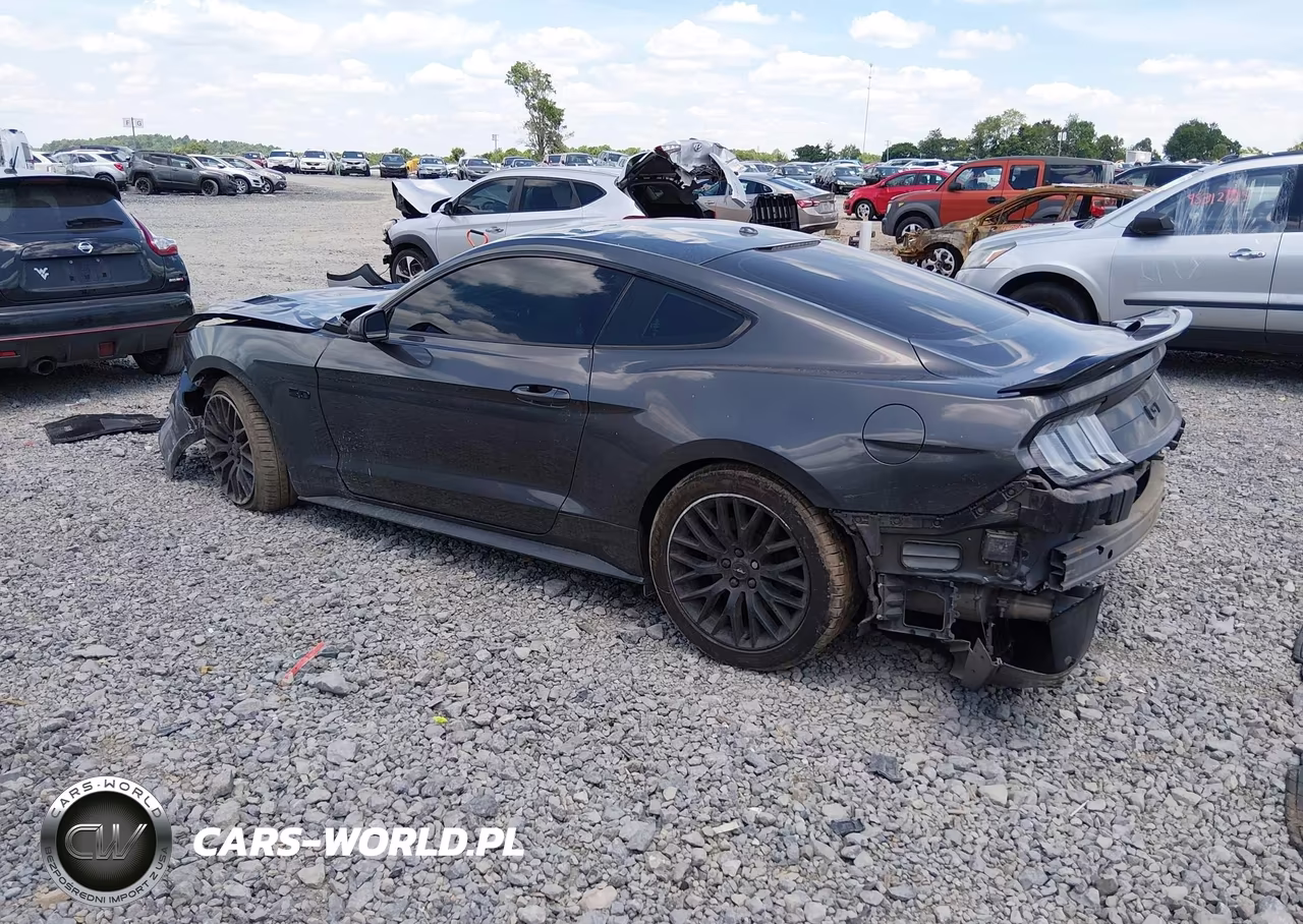 2019 Ford Mustang Gt Premium VIN:1FA6P8CF0K5131056 - 3