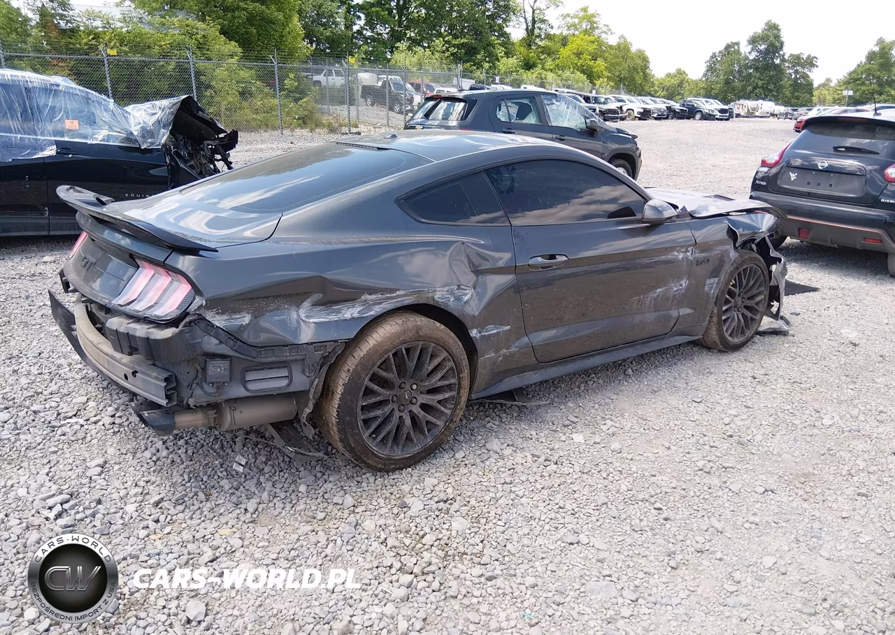 2019 Ford Mustang Gt Premium VIN:1FA6P8CF0K5131056 - 4