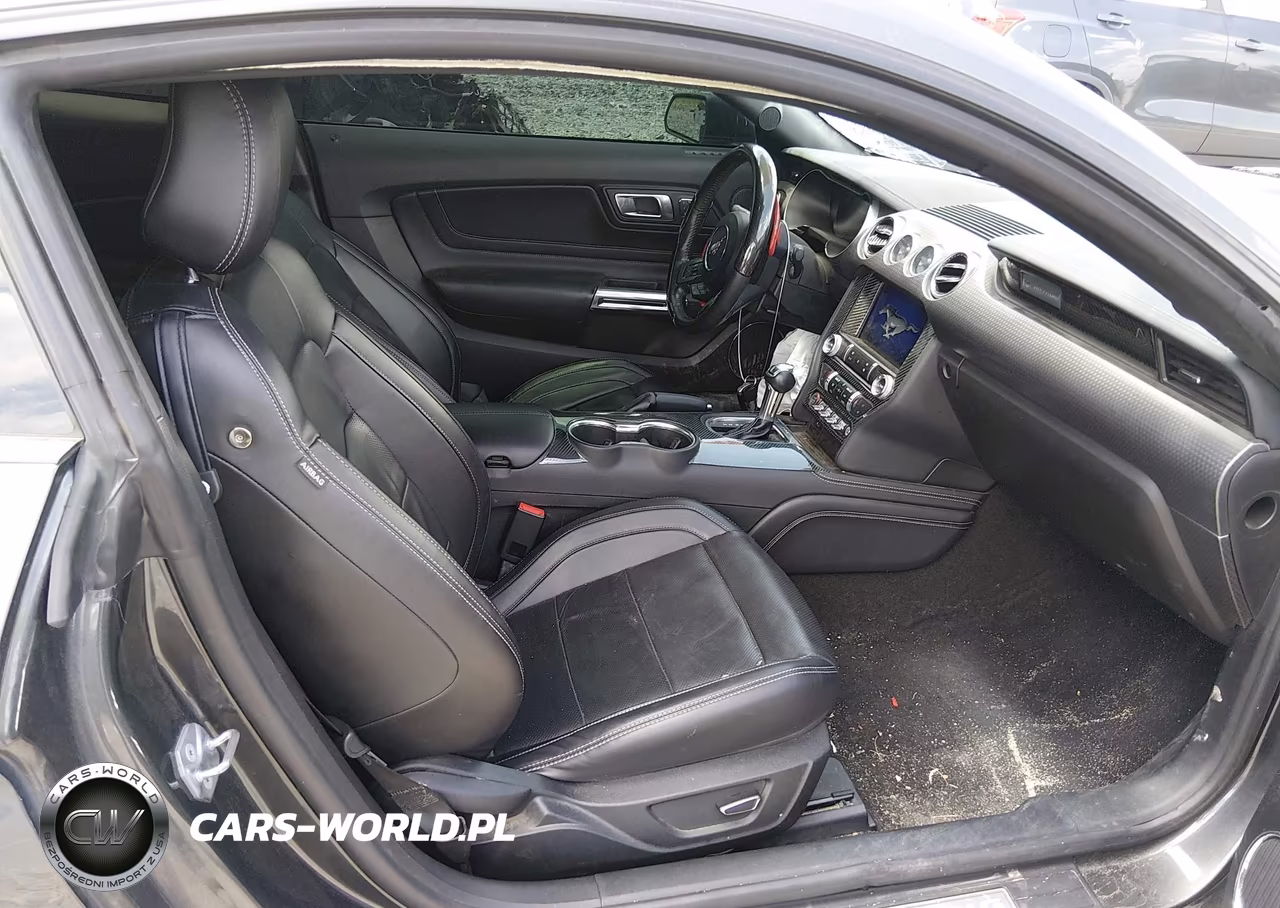 2019 Ford Mustang Gt Premium VIN:1FA6P8CF0K5131056 - 5