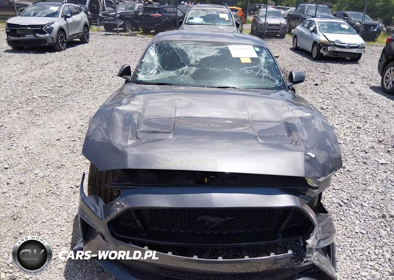 2019 Ford Mustang Gt Premium VIN:1FA6P8CF0K5131056 - 6