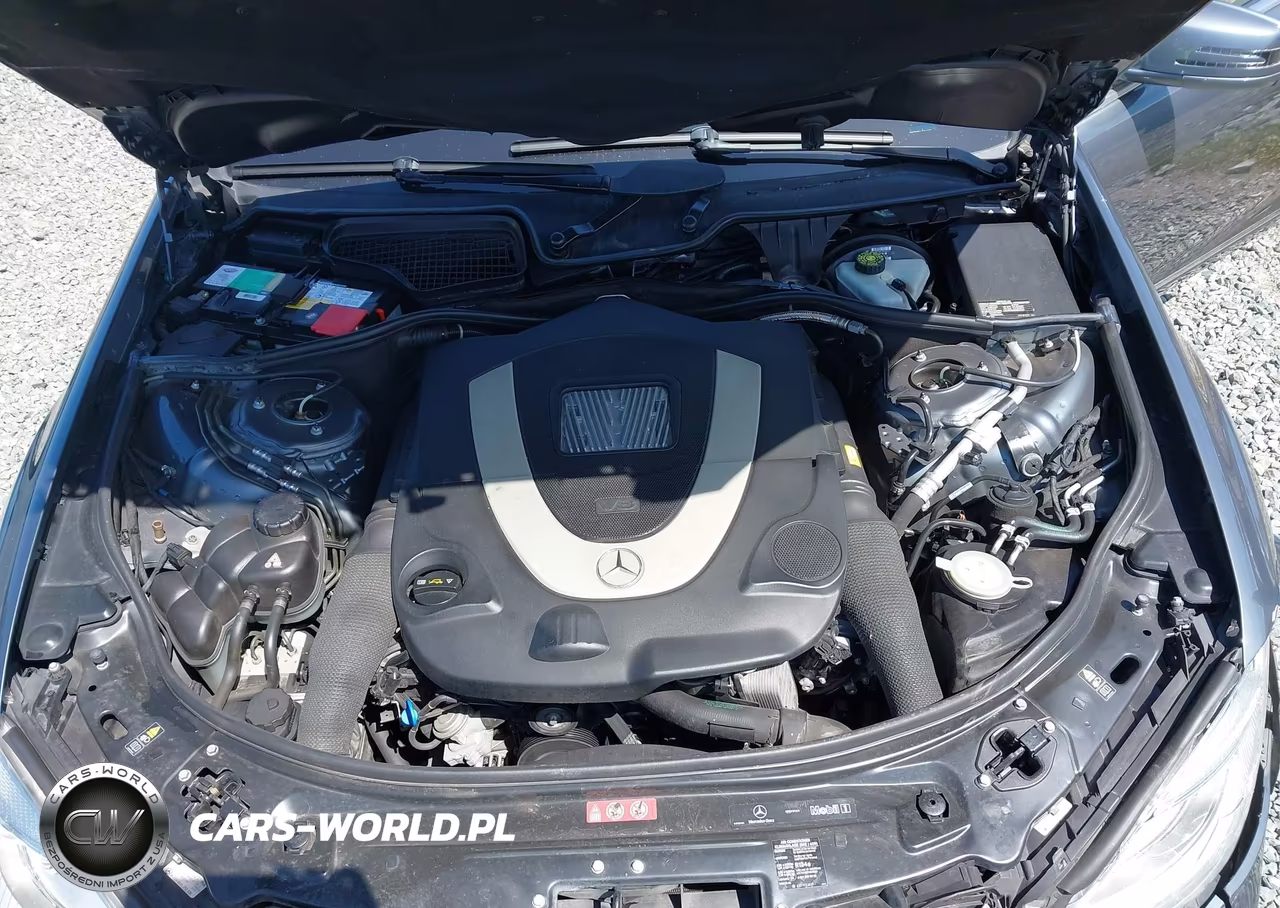 2010 Mercedes-Benz S 550 VIN:WDDNG7BBXAA324227 - 10