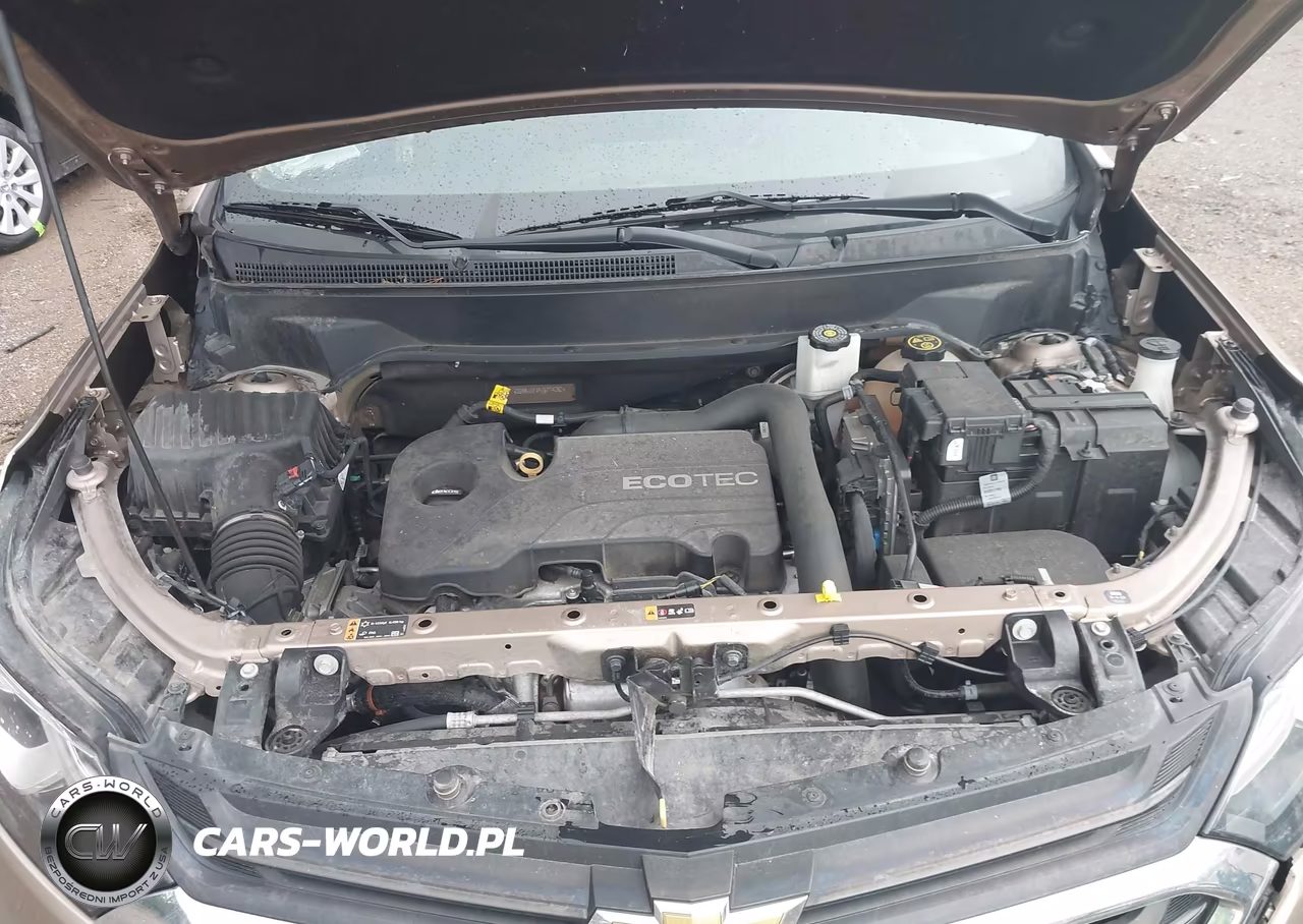2019 Chevrolet Equinox Lt VIN:2GNAXKEV4K6114262 - 10